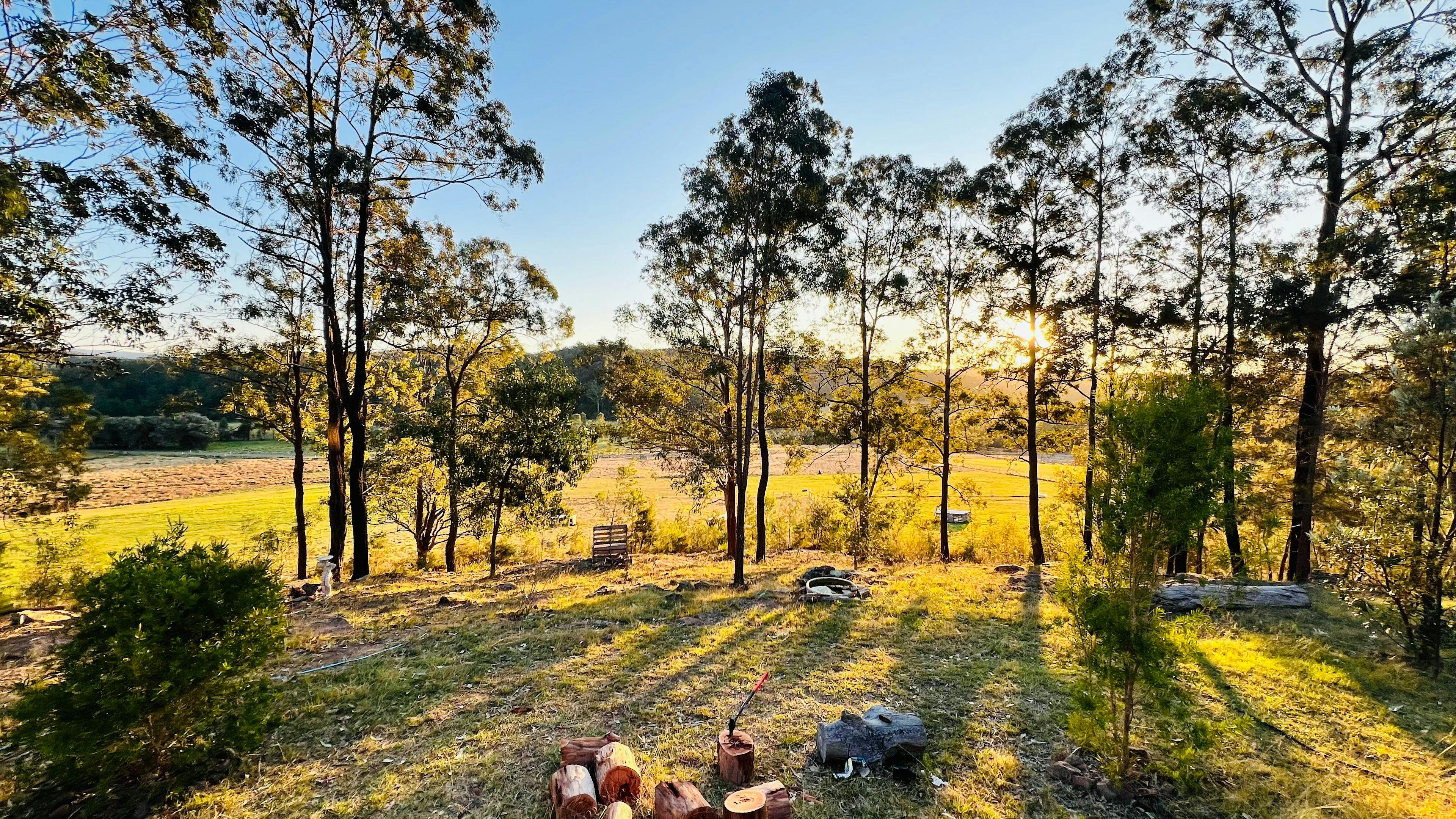 Woollybutt Farm