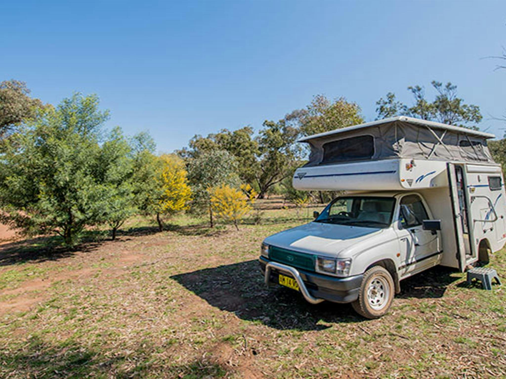 ウールシェッド・フラット・キャンプ場。ココパラ国立公園。写真：ジョン・スペンサー