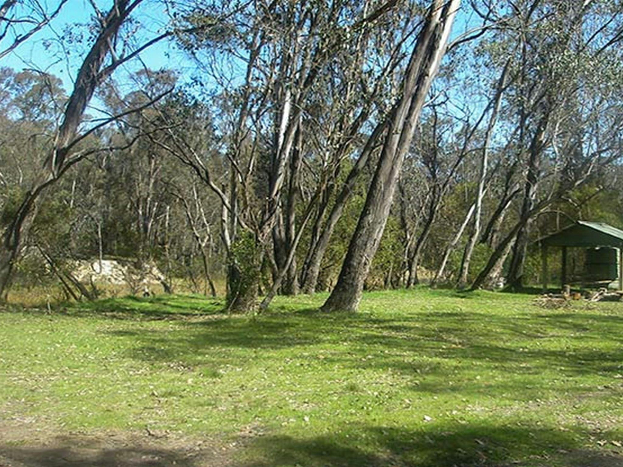 Tin Mines campground, Woomargama National Park. Photo: David Pearce/NSW Government