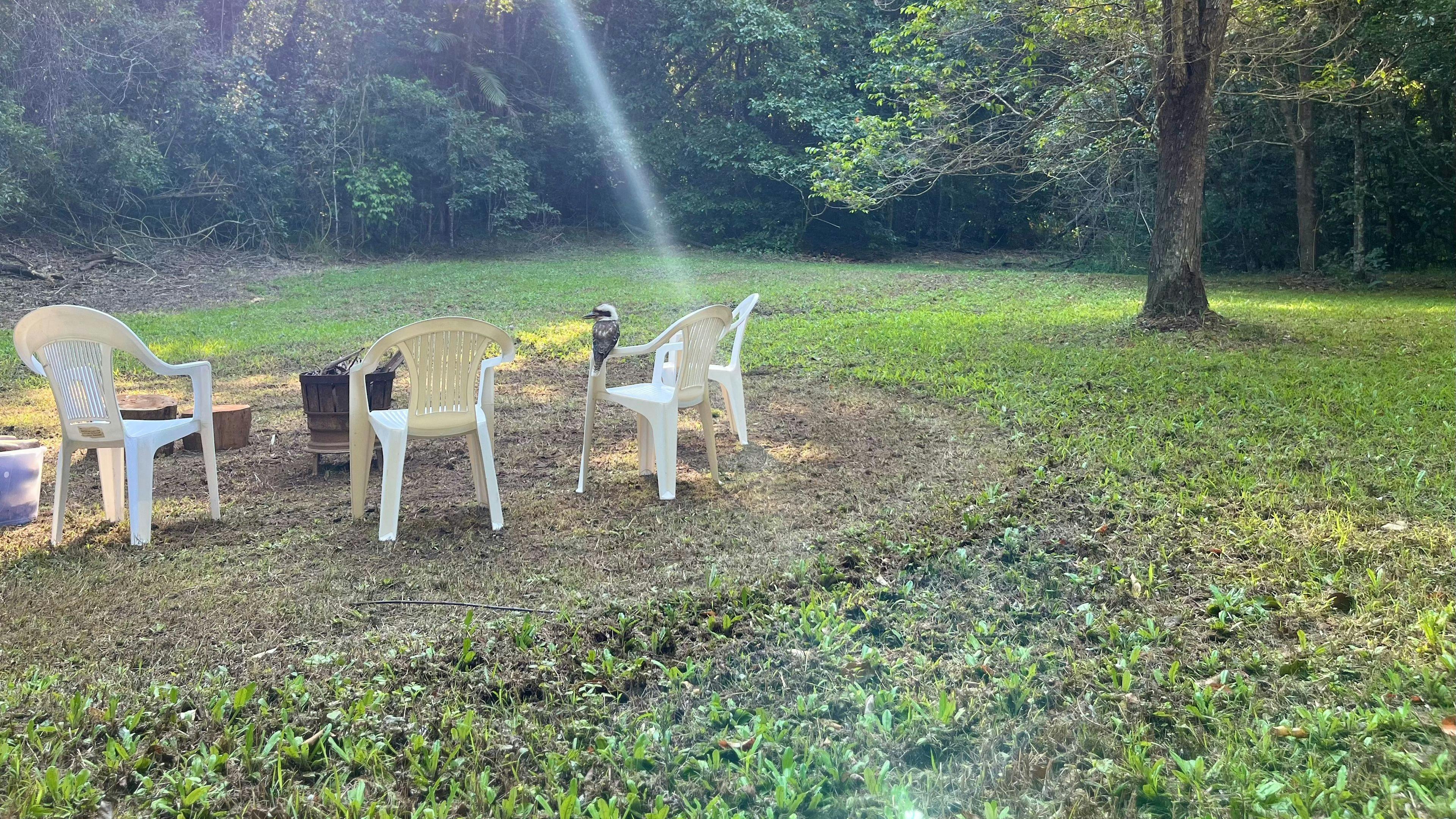 Woombye Rainforest Escape