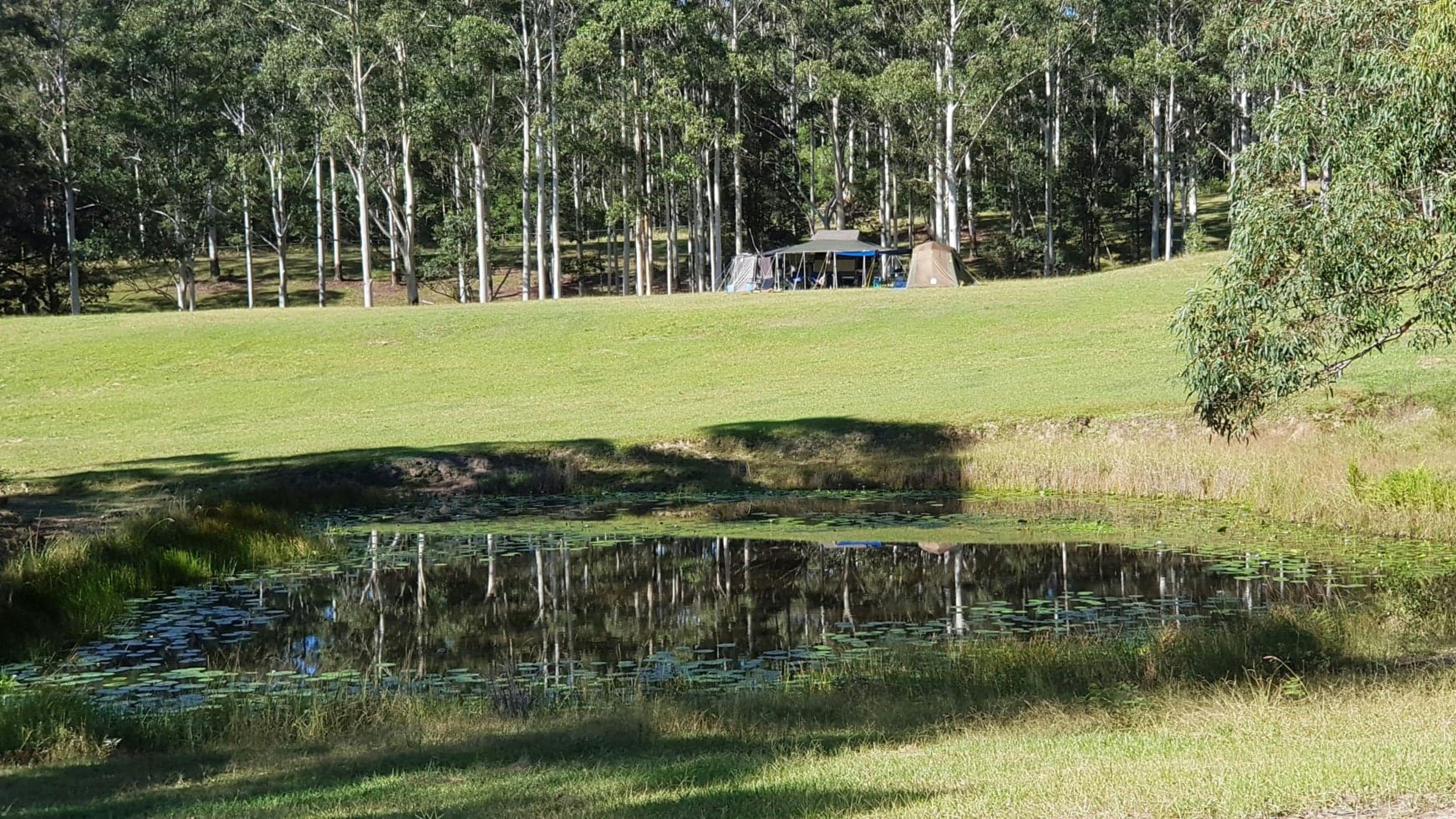 The Dam View Campsite overlooks 2 dams, one is full of Yabbies, and the other is our "swimming pool". 