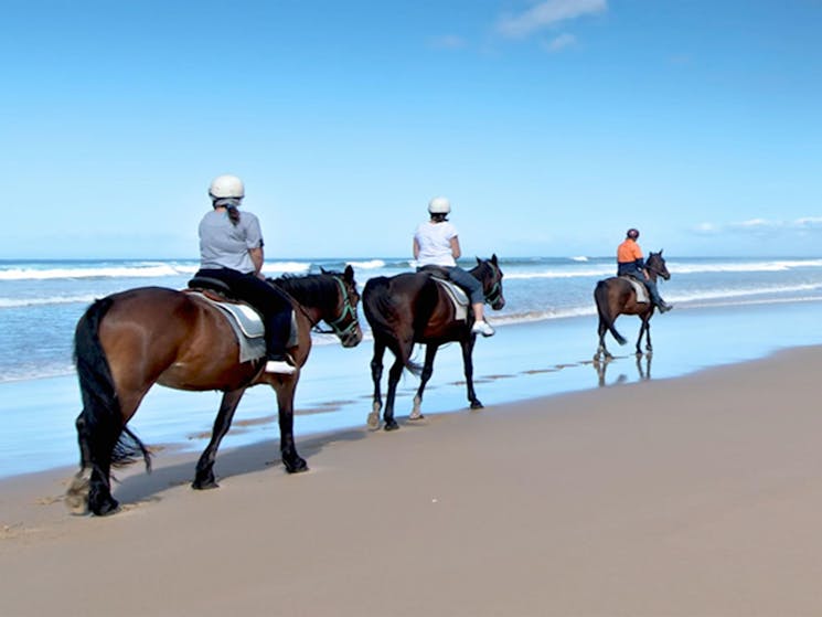 Horse riders, Worimi Conservation Lands. Photo: John Spencer &copy; DPIE