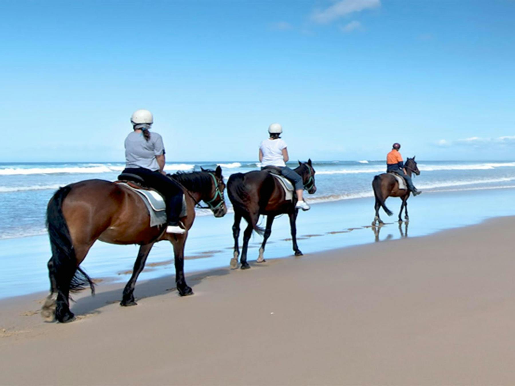 Horse riders, Worimi Conservation Lands. Photo: John Spencer © DPIE