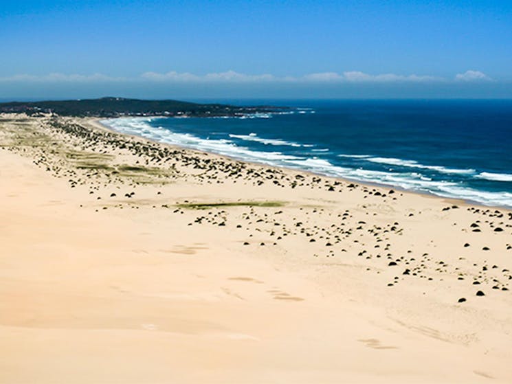 Aerial view of the Worimi Conservation Lands. Copyright:NSW Government