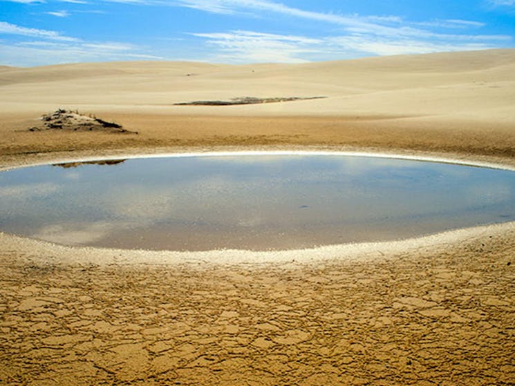 A water hole, Worimi Conservation Lands. Copyright:NSW Government