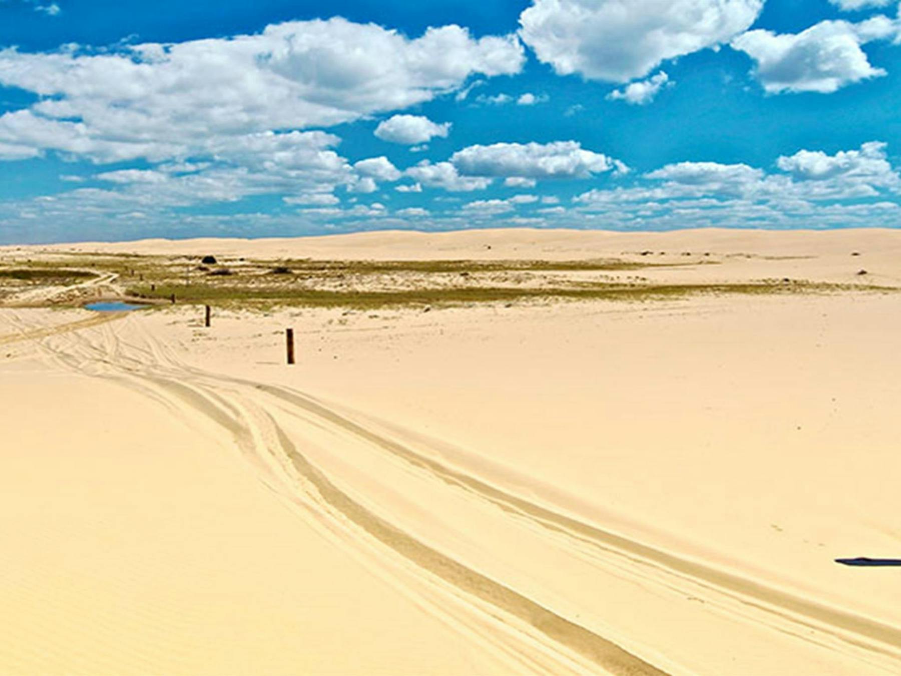 Tire tracks on the sand in Worimi National Park. Photo; John Spencer © DPIE