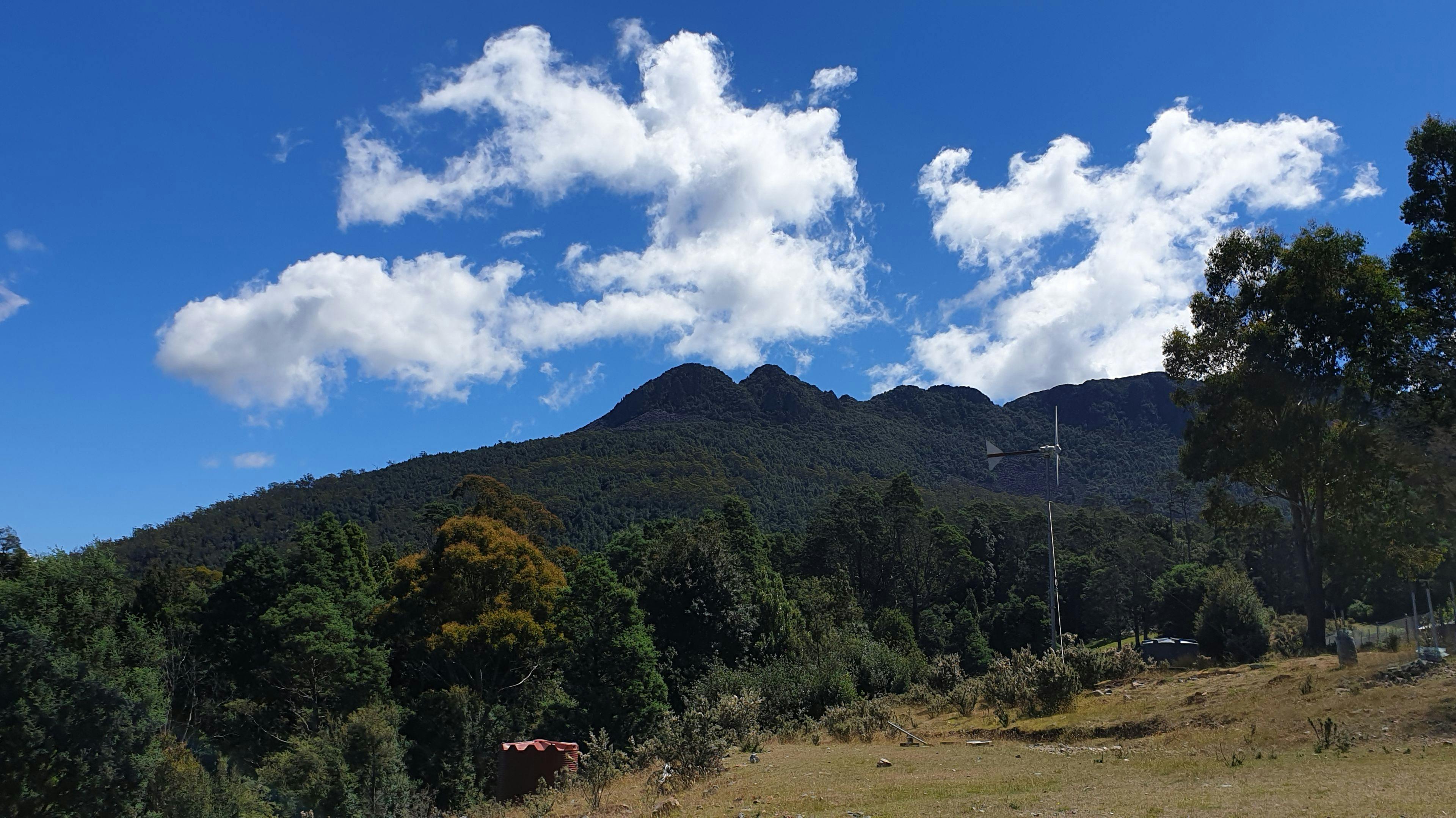 World Heritage Forest Monastery campsite