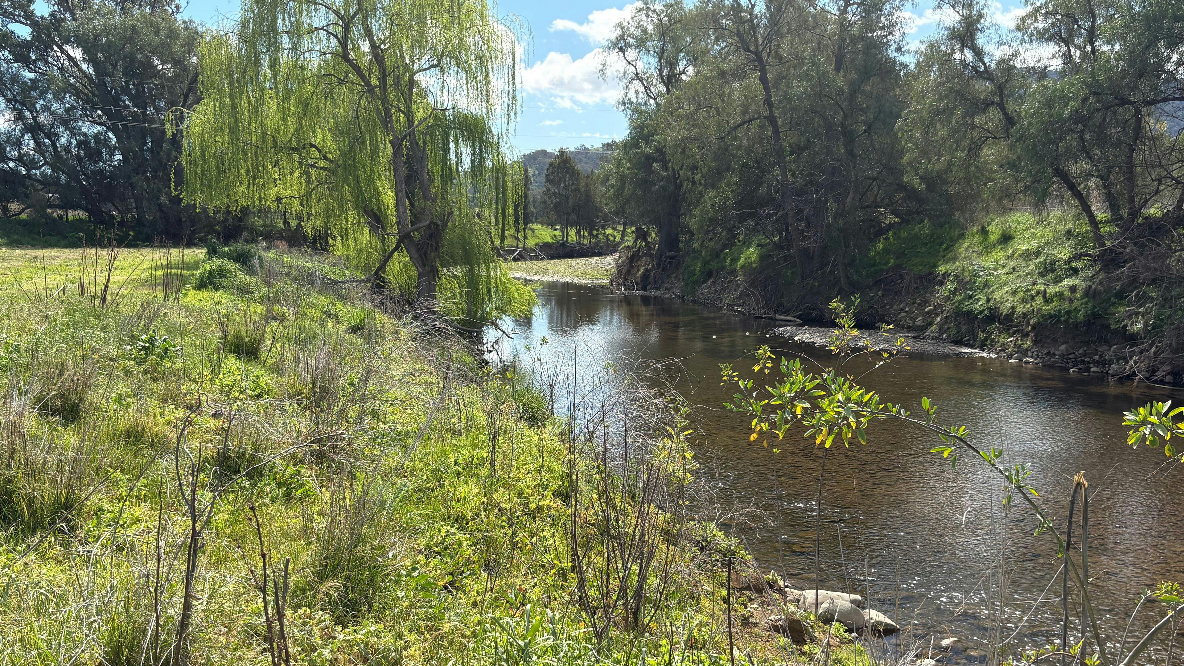 ‘The Willows’ 8 Acres