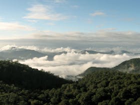 Wrights Lookout walking track