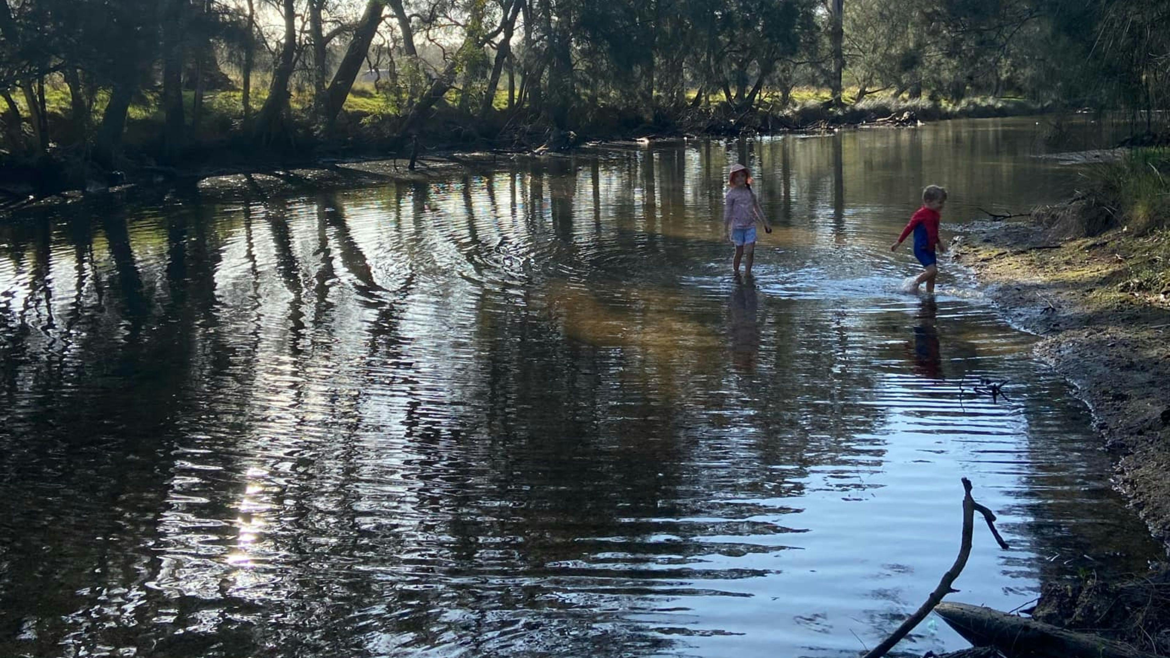 Tidal creek on property.