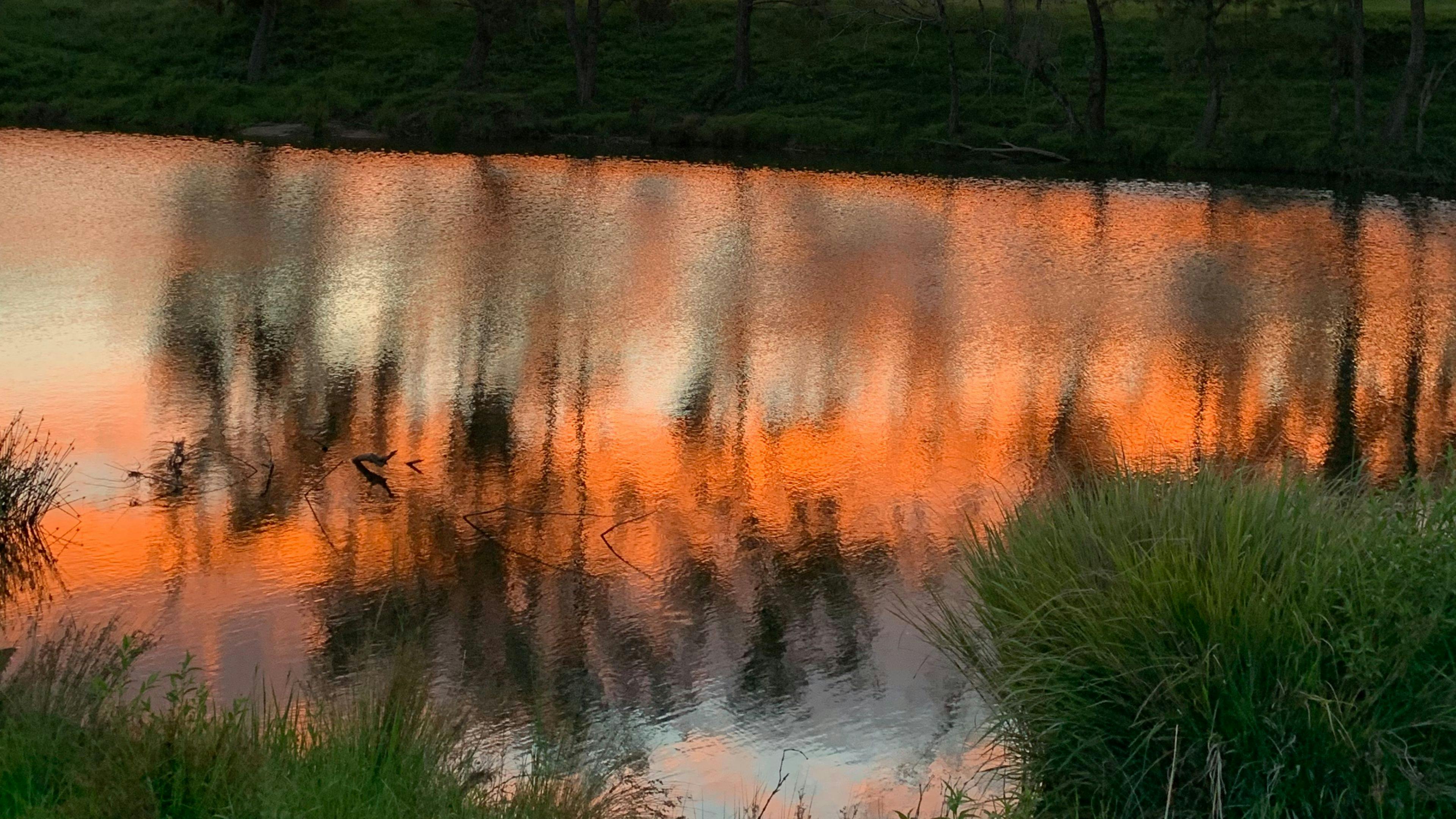 Enjoying the sunset 