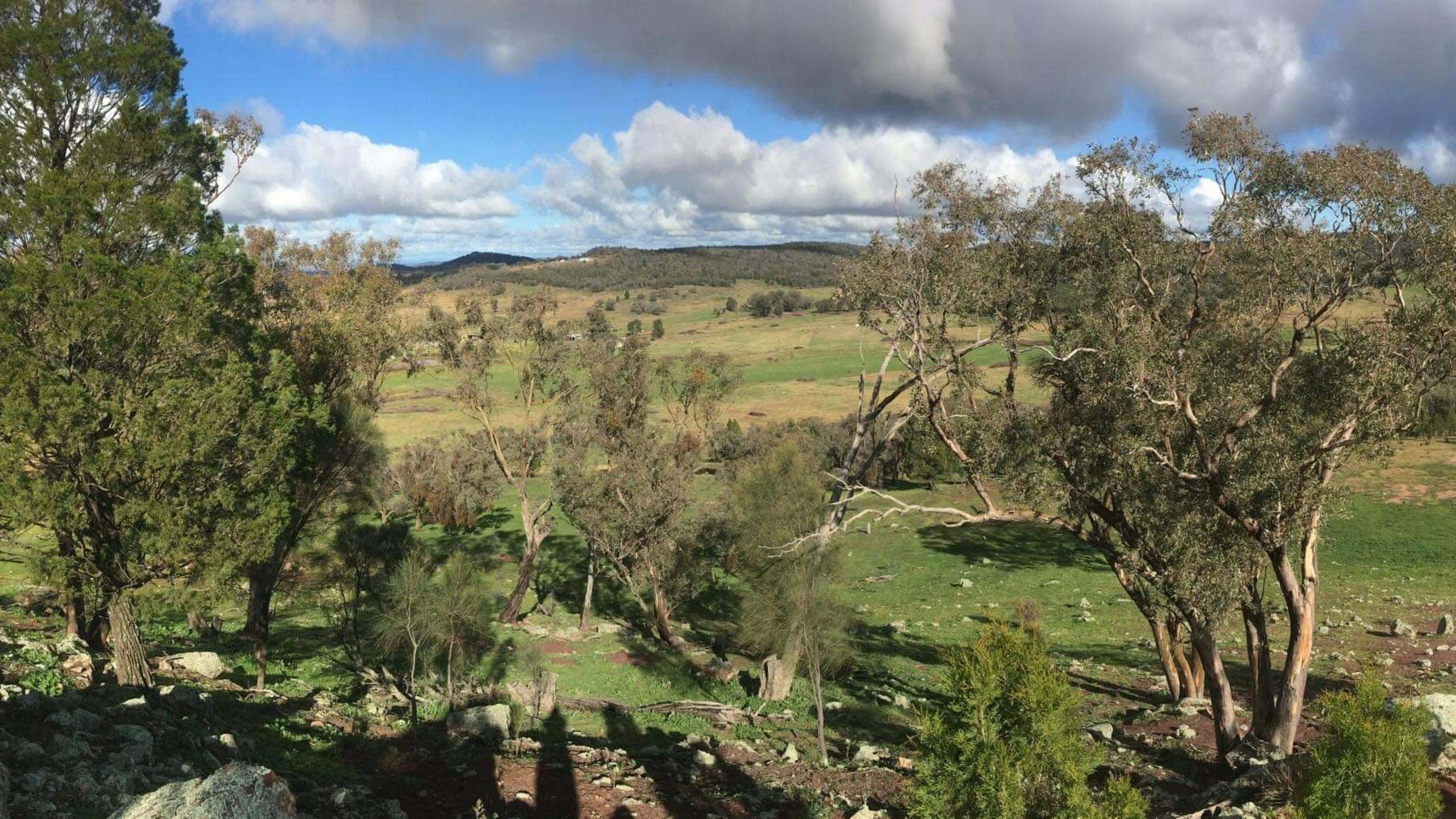 Wybalena Homestead