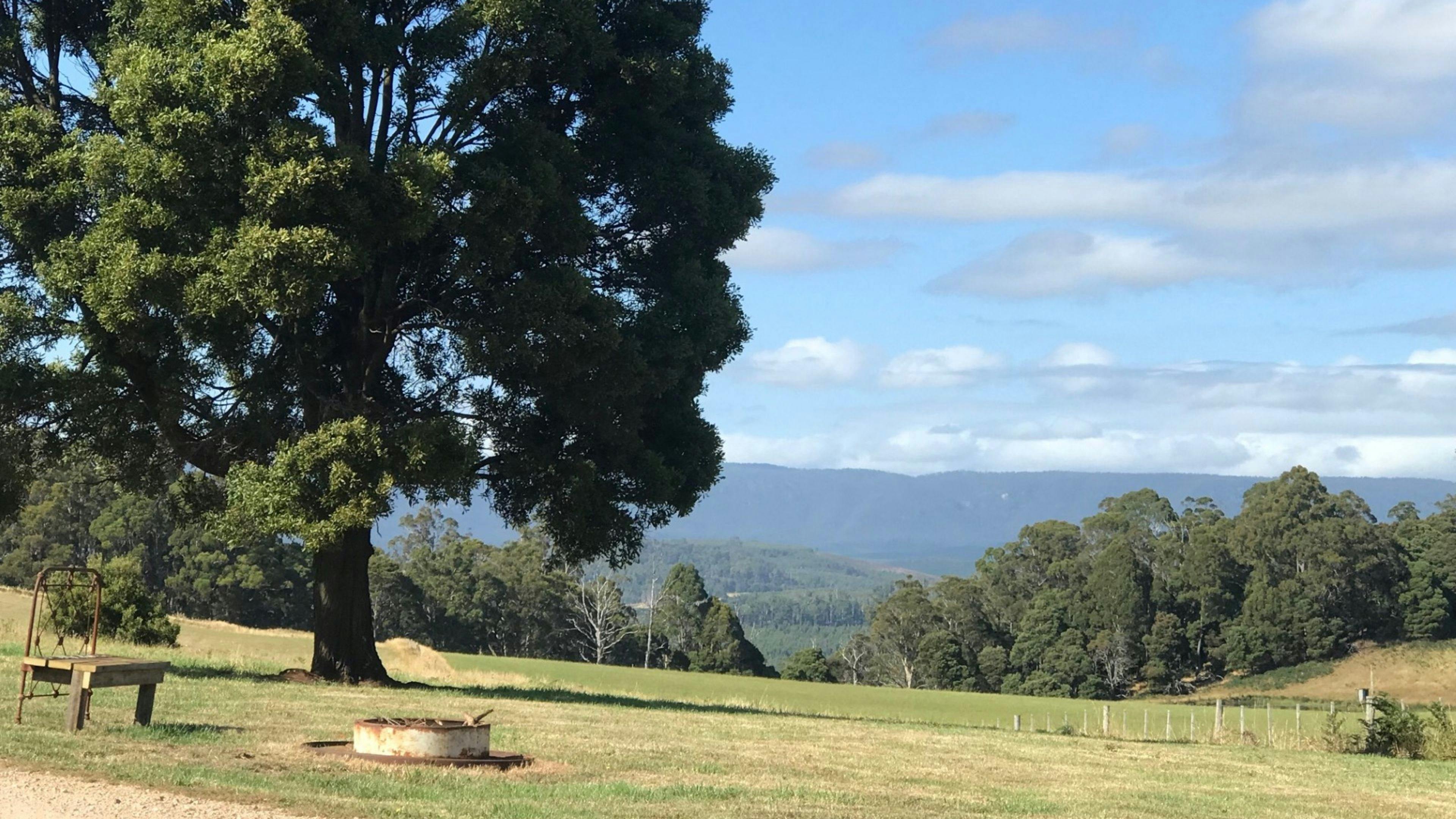 Sunridge Valley Views