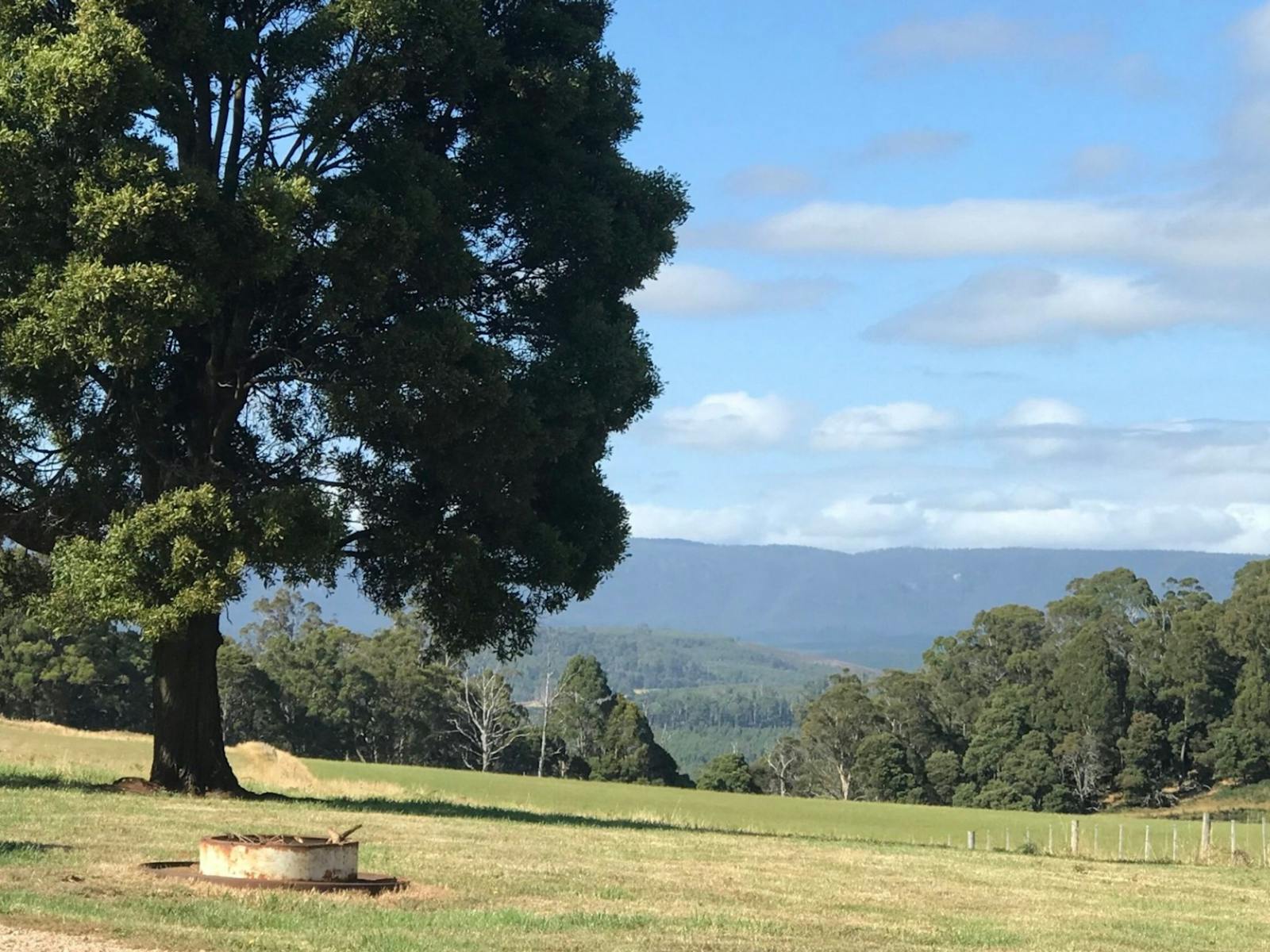 Sunridge Valley Views