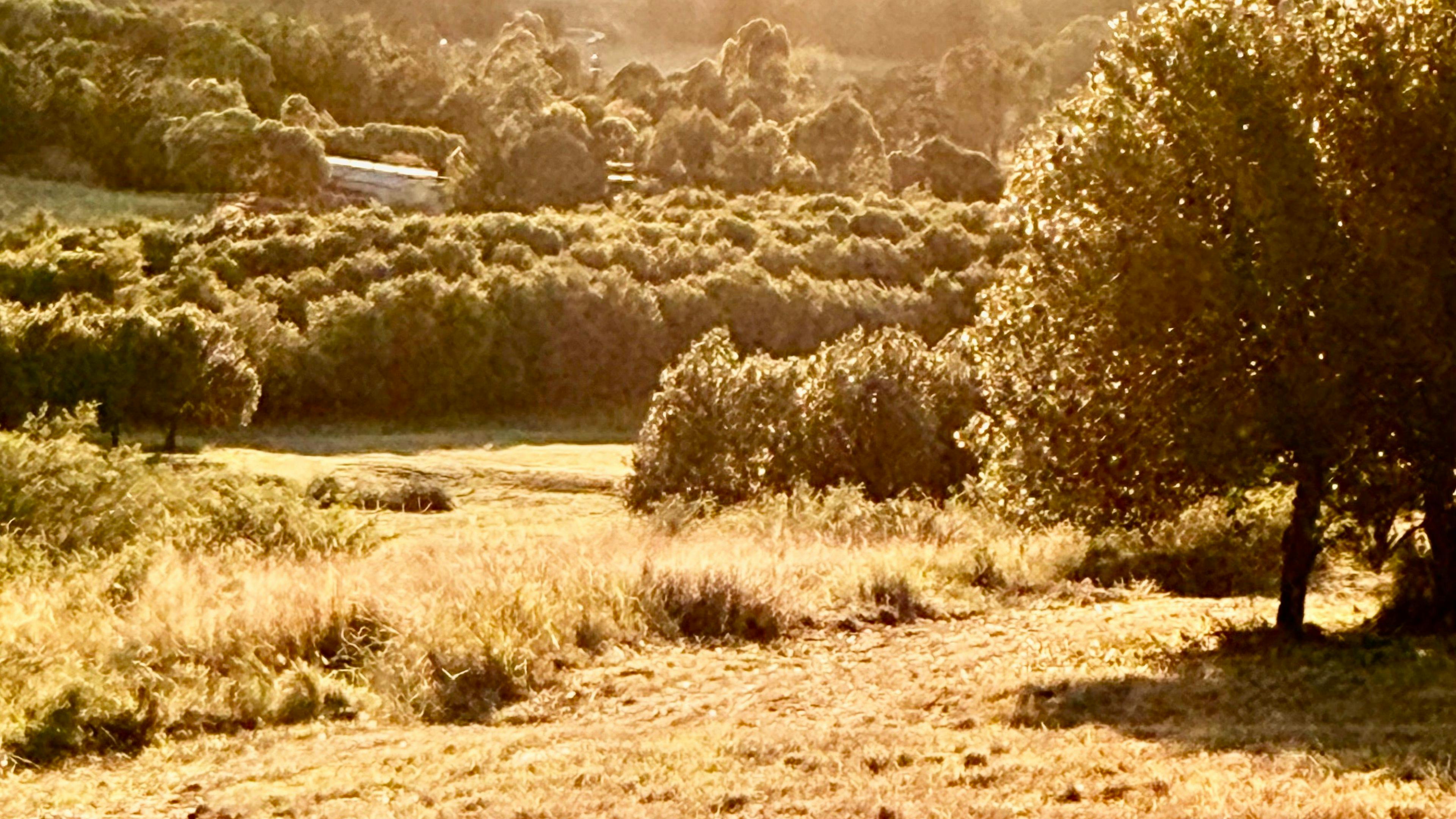 La Rochelle Estate