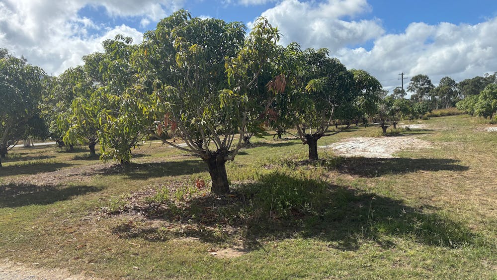 Rainbow Gardens