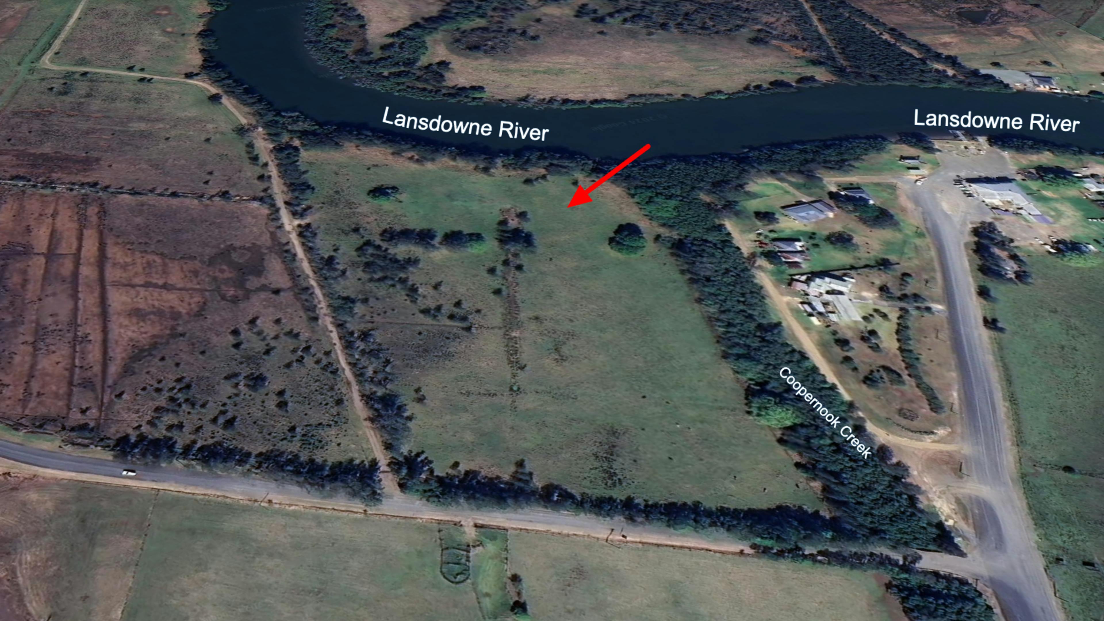 Youngster’s Paddock