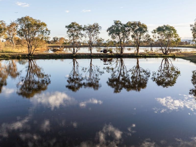 A Little Bit of Purple Farm