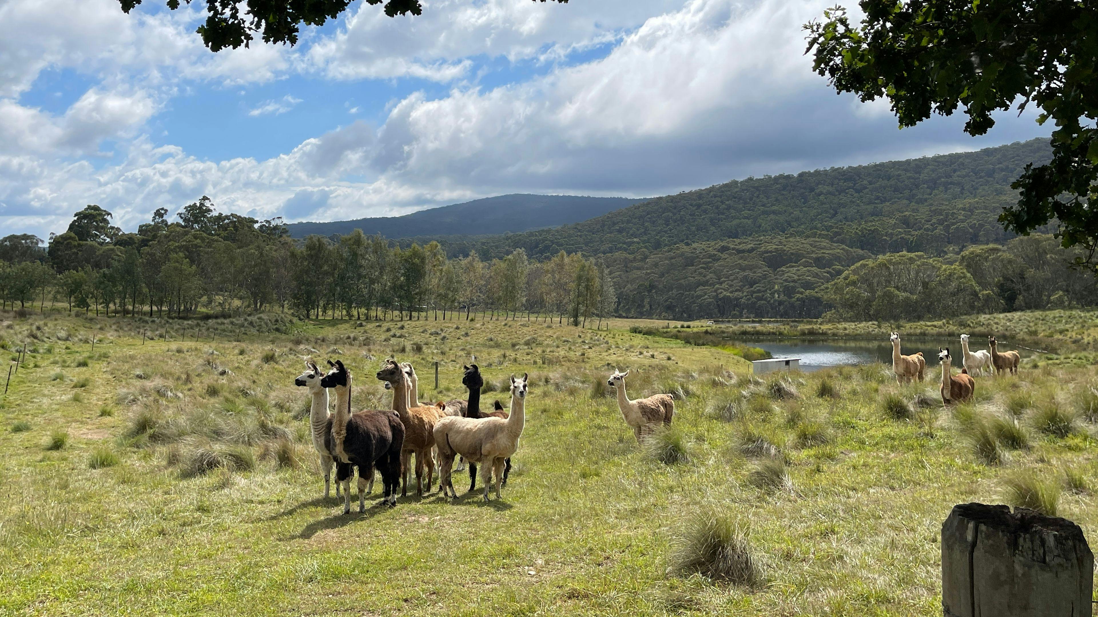 春谷休闲度假胜地
