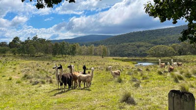 Spring Valley Lifestyle Retreat