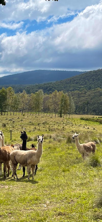 Spring Valley Lifestyle Retreat