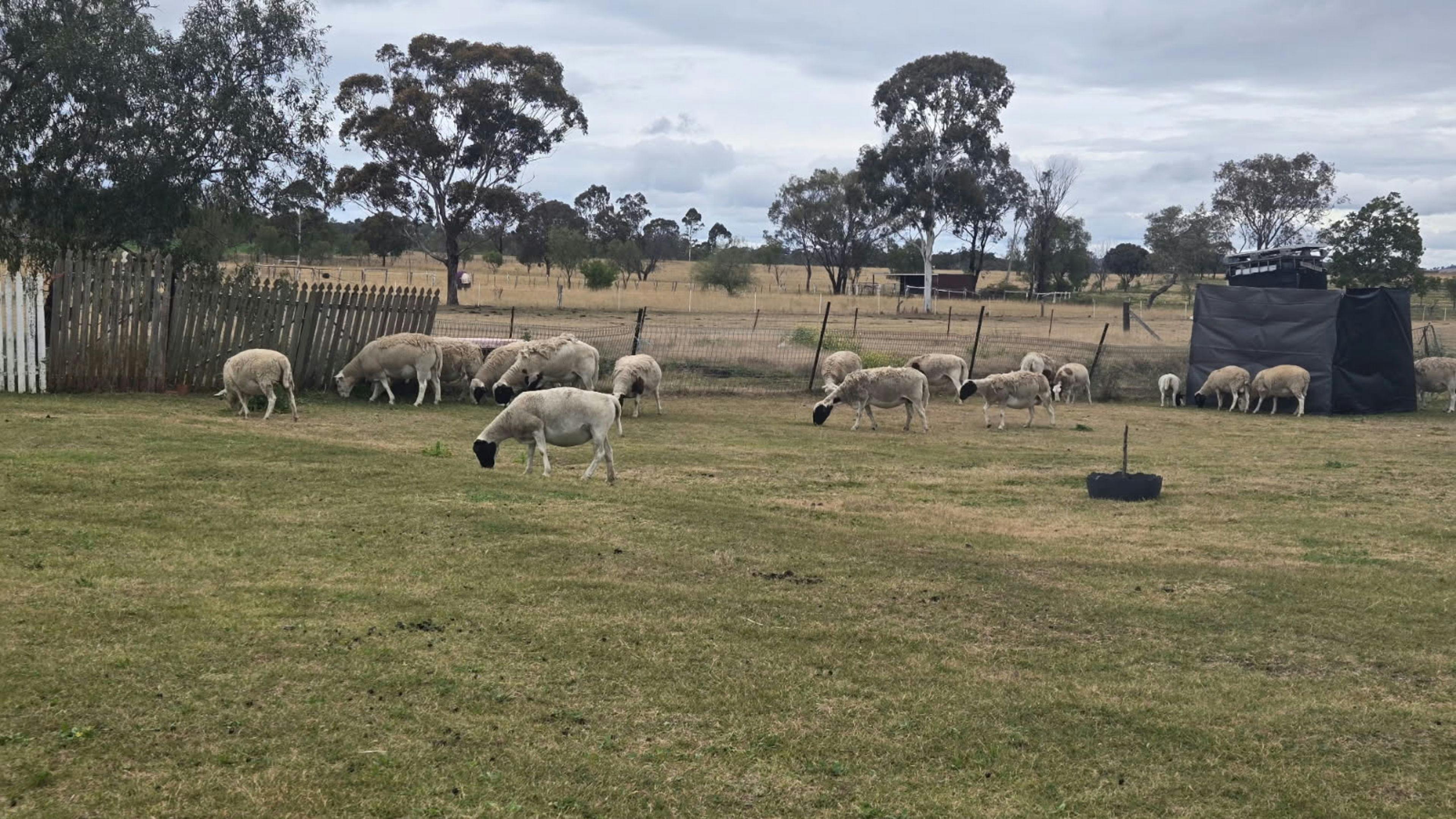 Chookhouse Farmstay Vale View