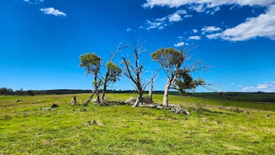 Spring Creek Valley Farm