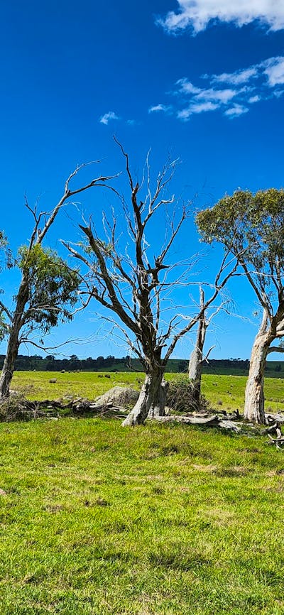 Spring Creek Valley Farm