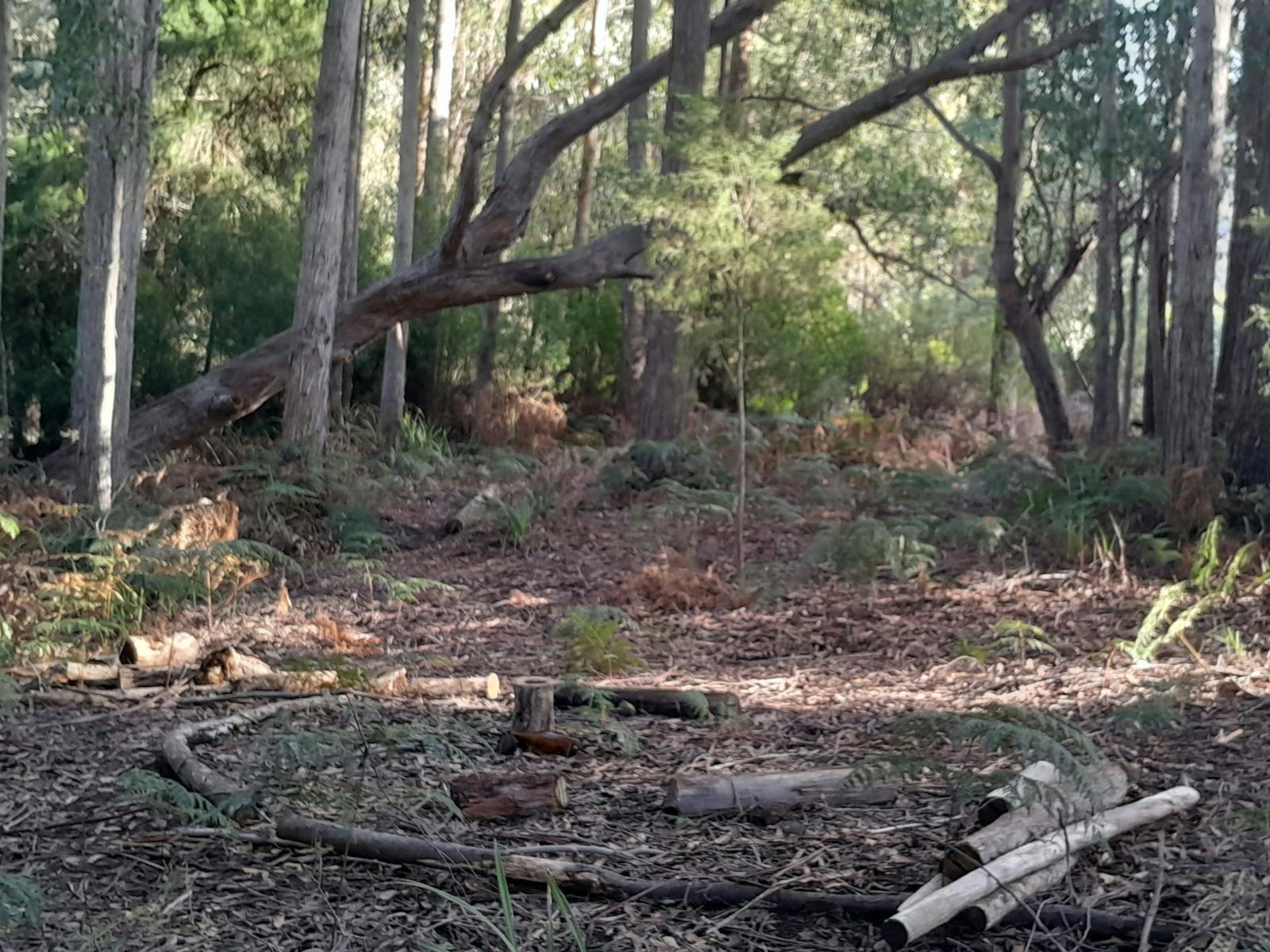 Communal fire area.