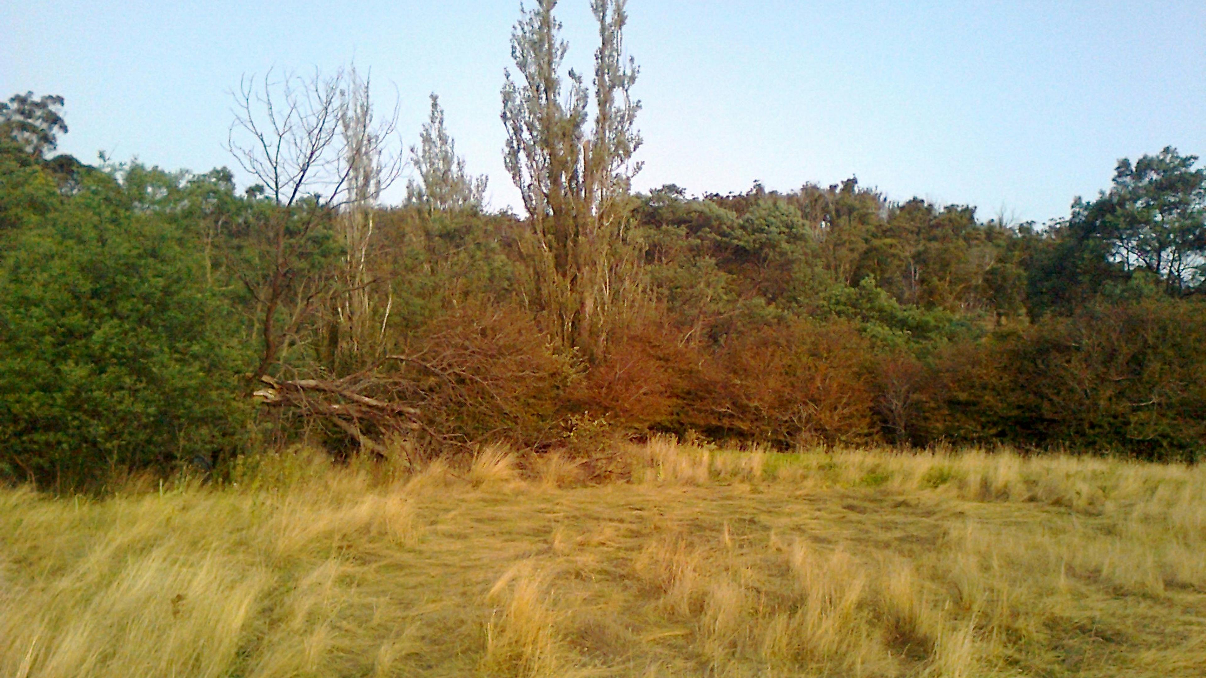 Mangana Land camping