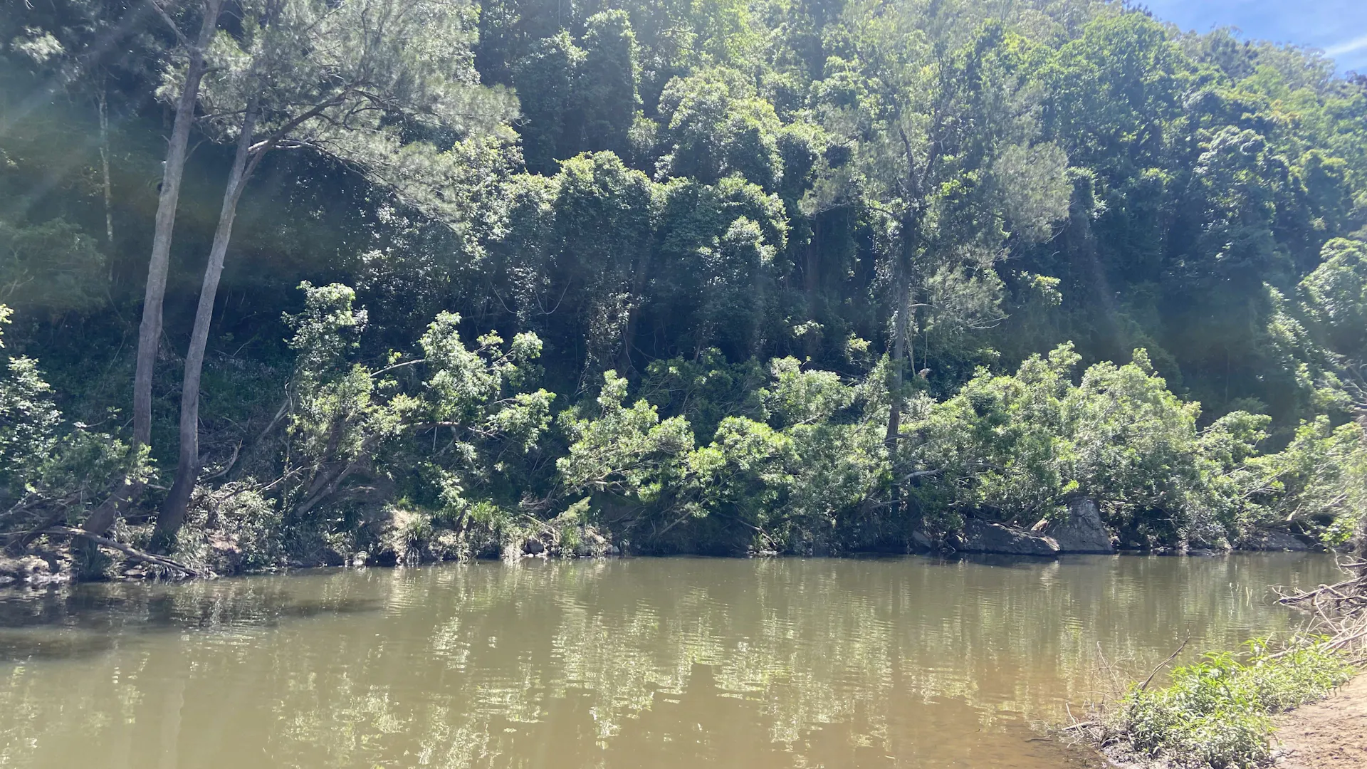 Yabba Creek Farm