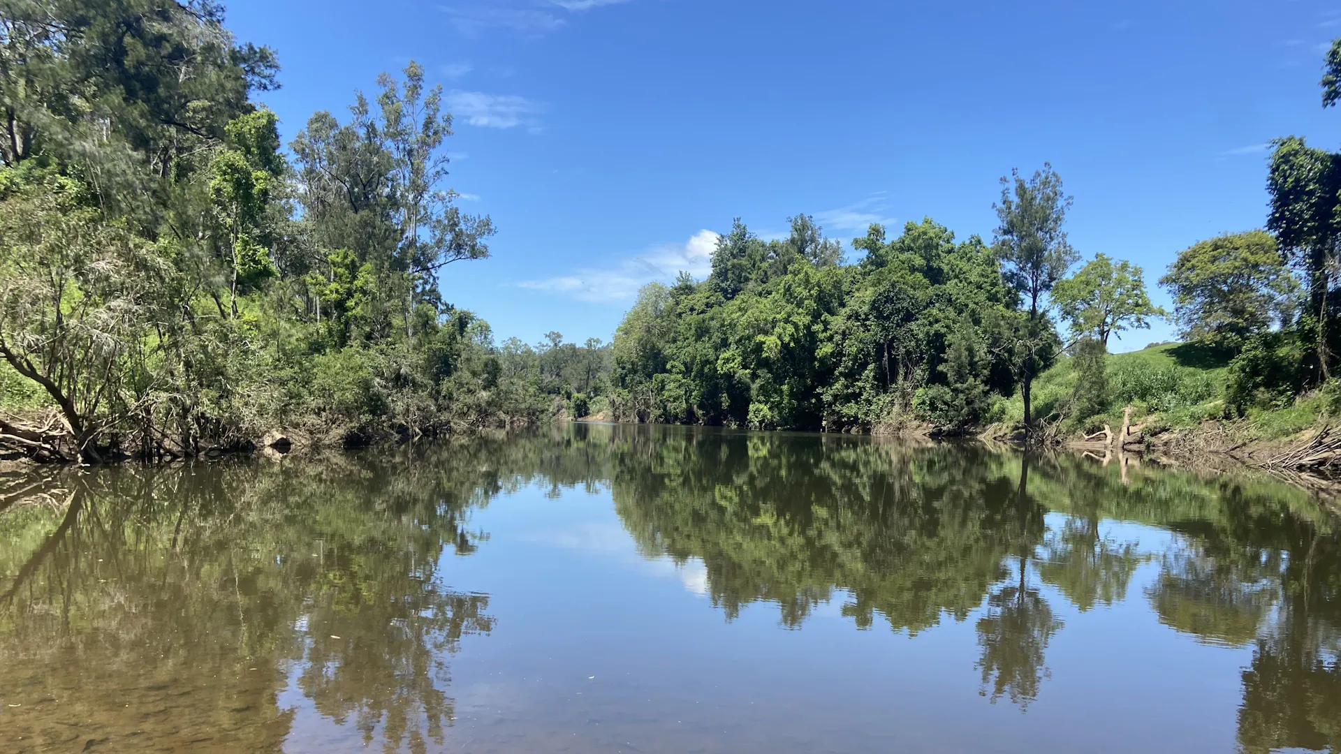 Yabba Creek Farm