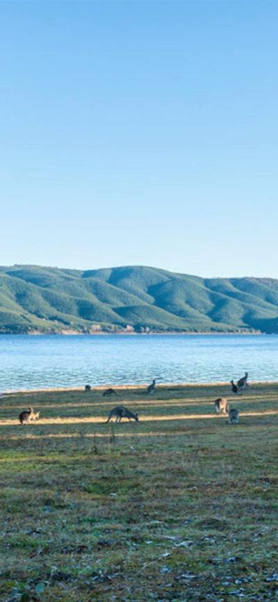 Yachting Point campground in Kosciuszko National Park. Photo: Murray Vanderveer © DCCEEW