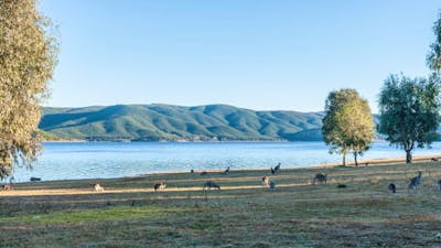 Yachting Point campground in Kosciuszko National Park. Photo: Murray Vanderveer © DCCEEW