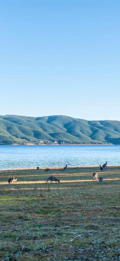 Yachting Point campground in Kosciuszko National Park. Photo: Murray Vanderveer © DCCEEW