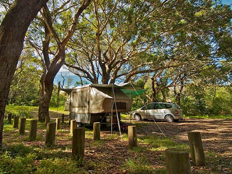 Yagon campground, Myall Lakes National Park. Photo: John Spencer/NSW Government