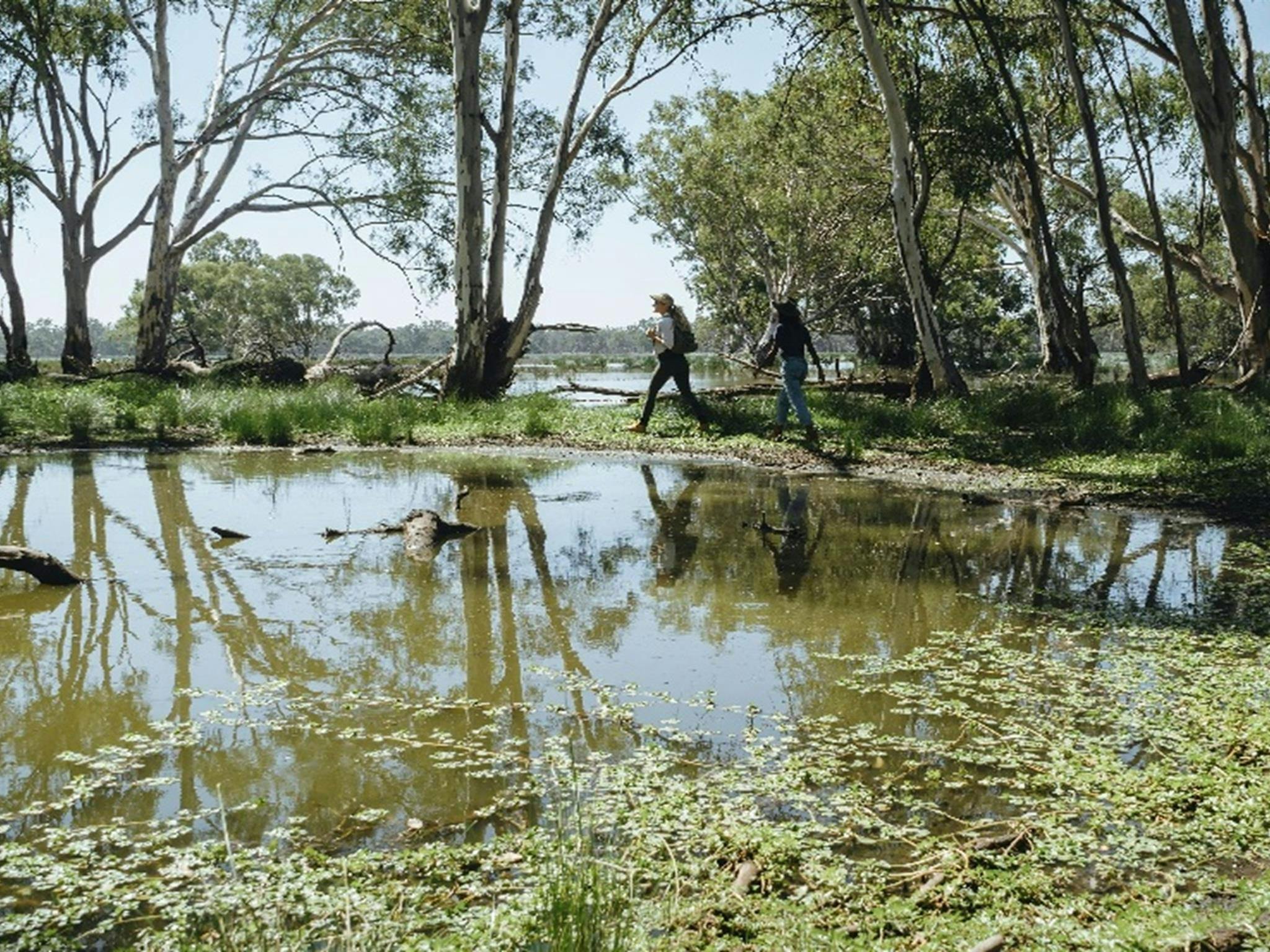 Two people walking along Yanga Lake walking track in Yanga National Park. Credit: Ain Raadik &copy;