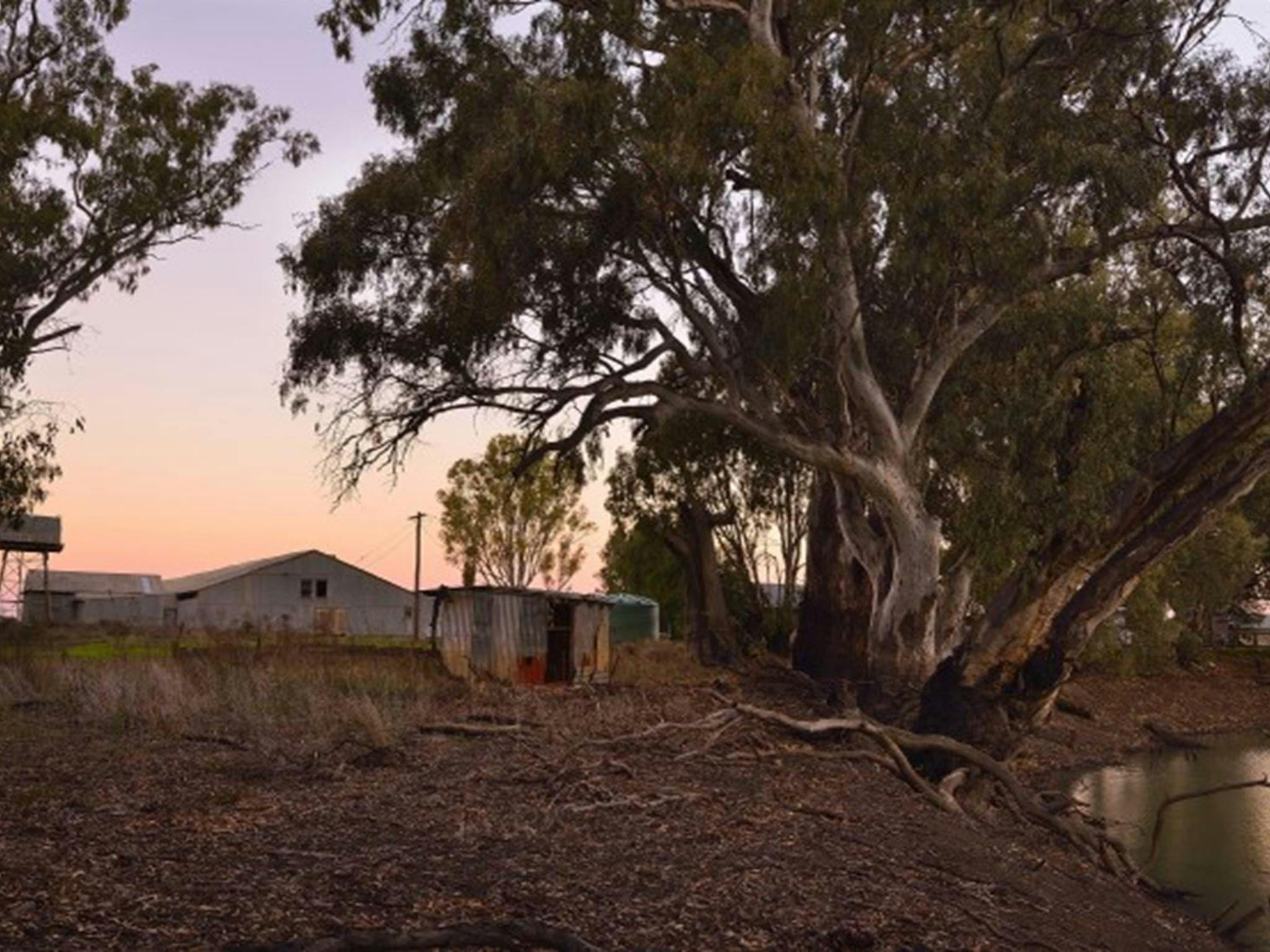 Sunset over Yanga Woolshed in Yanga National Park. Photo: Gavin Hansford &copy; OEH