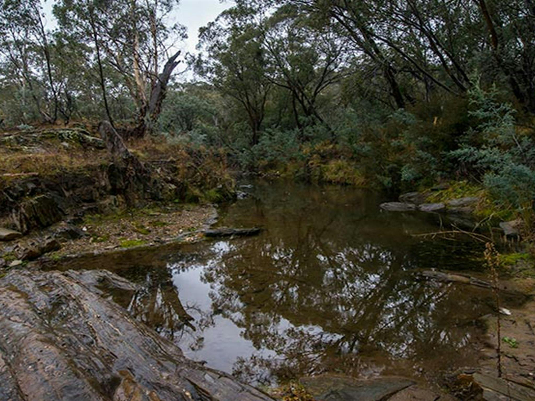 Yanununbeyan State Conservation Area. Photo: John Spencer/NSW Government