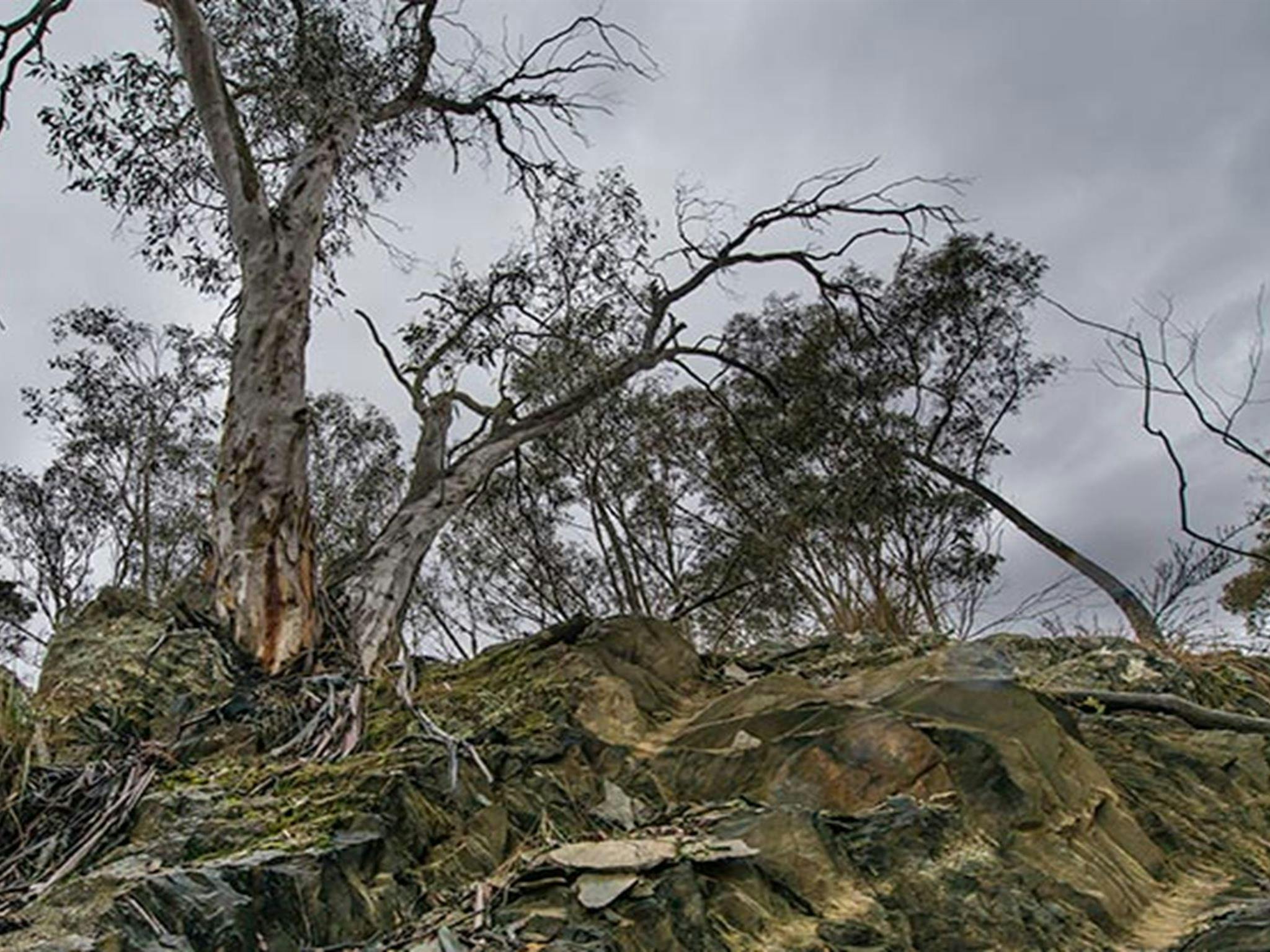 Yanununbeyan State Conservation Area. Photo: John Spencer/NSW Government