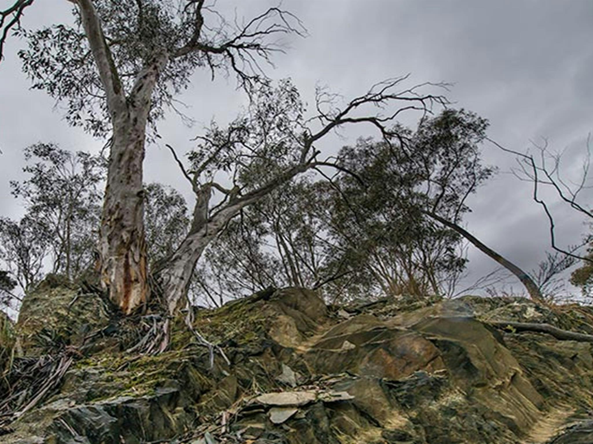 Yanununbeyan State Conservation Area. Foto: John Spencer/Regierung von New South Wales