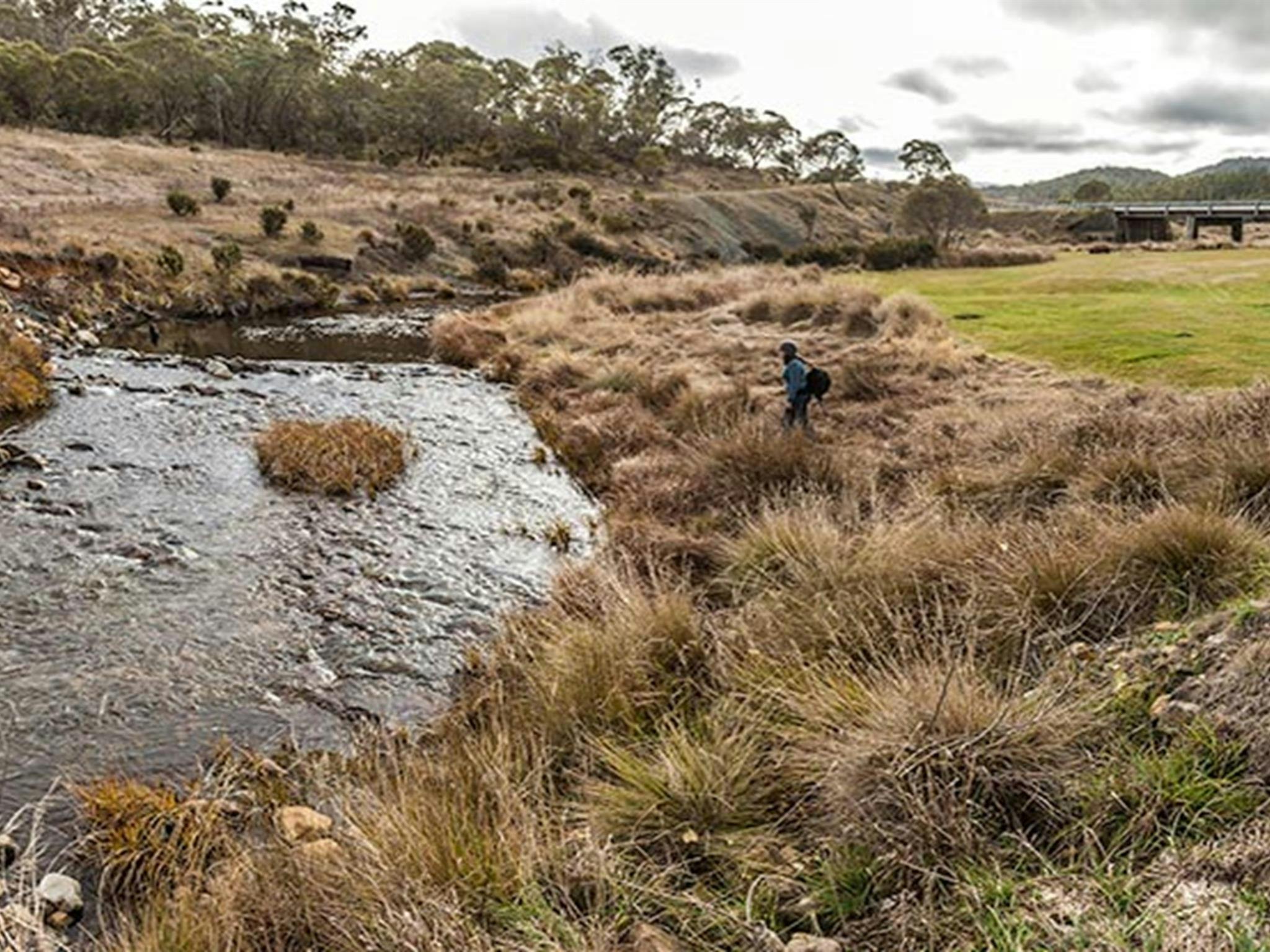 Yarrangobilly Village campground, Kosciuszko National Park. Photo: Murray Vanderveer/NSW Government