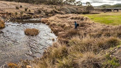 Yarrangobilly Village campground, Kosciuszko National Park. Photo: Murray Vanderveer/NSW Government