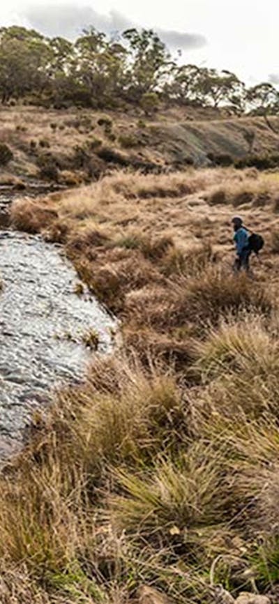 Yarrangobilly Village campground, Kosciuszko National Park. Photo: Murray Vanderveer/NSW Government