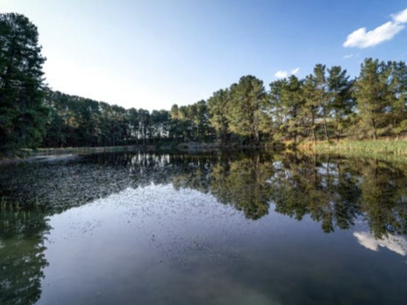 Image for Yass Farm Stay