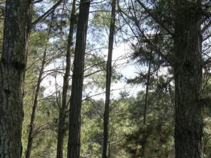 Image for Yass Farm Stay