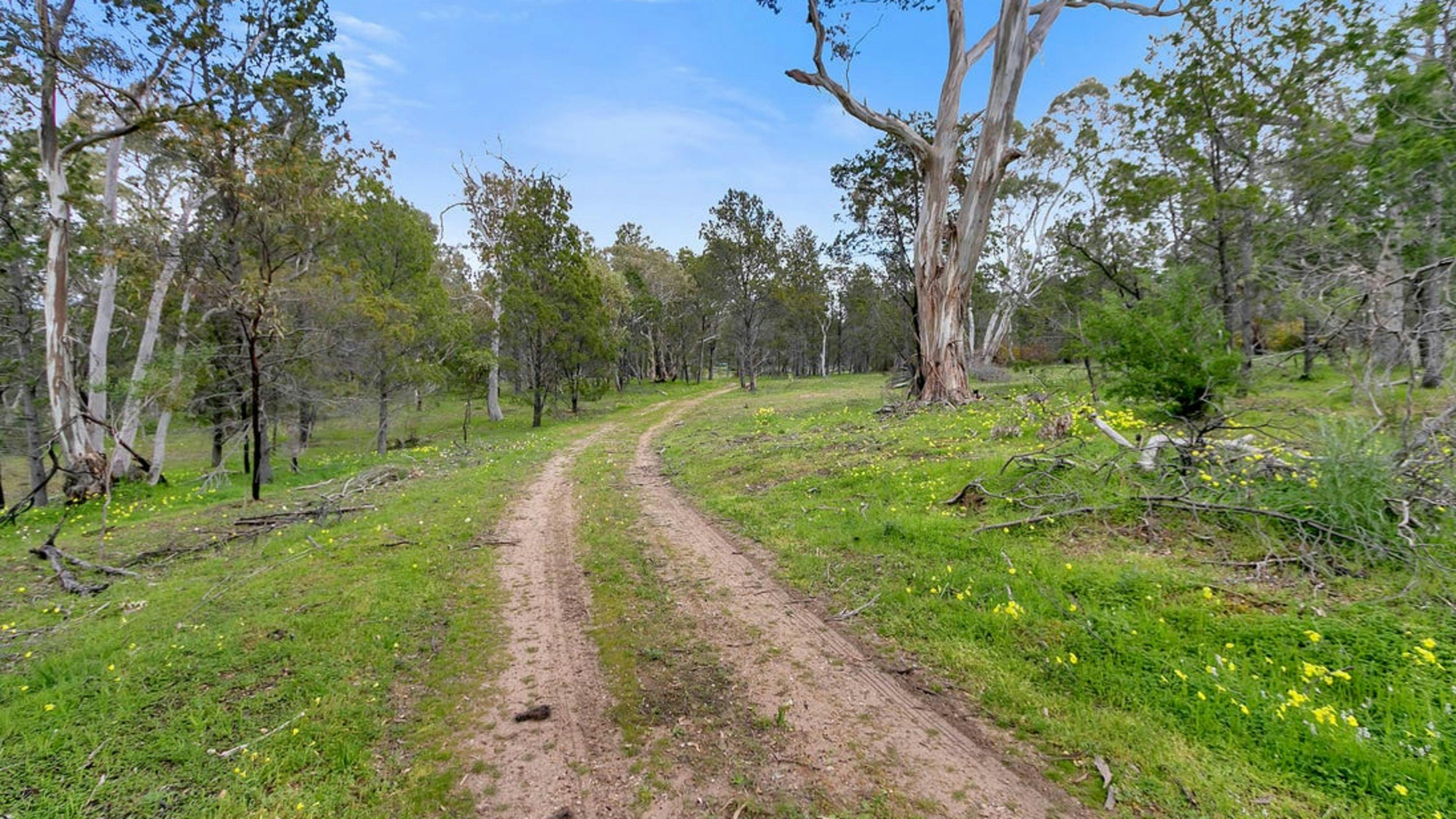 Sandy Hill: Lyndoch, Barossa Valley