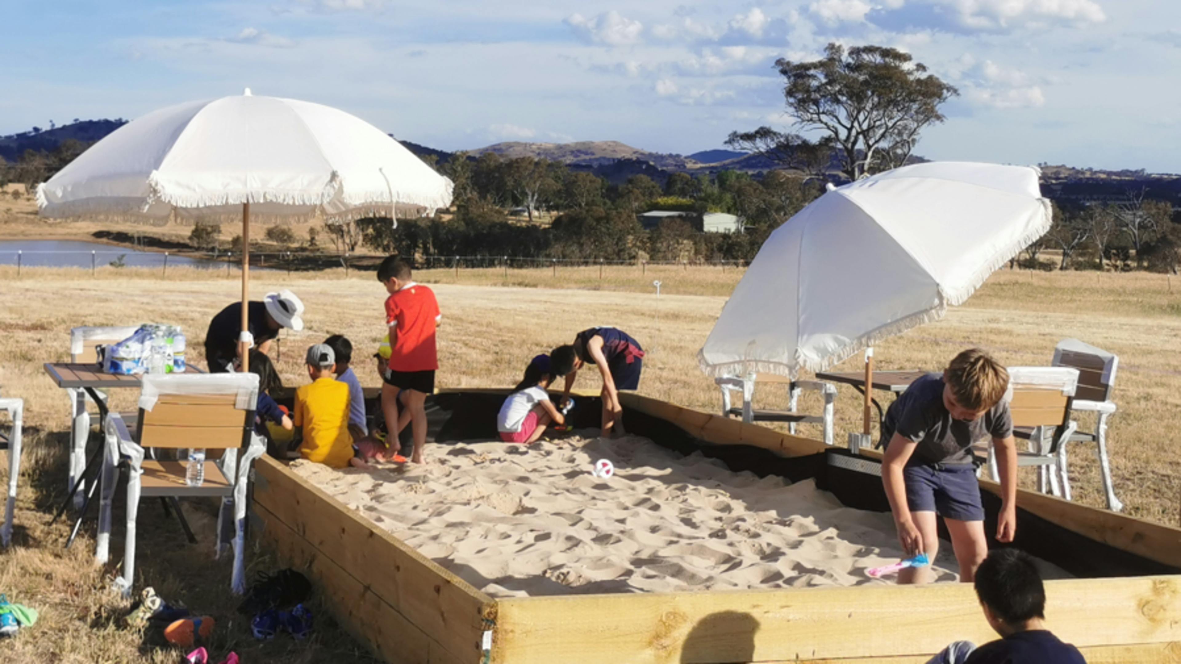퍼플 팜의 작은 조각