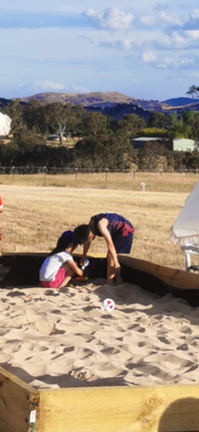 A Little Bit of Purple Farm