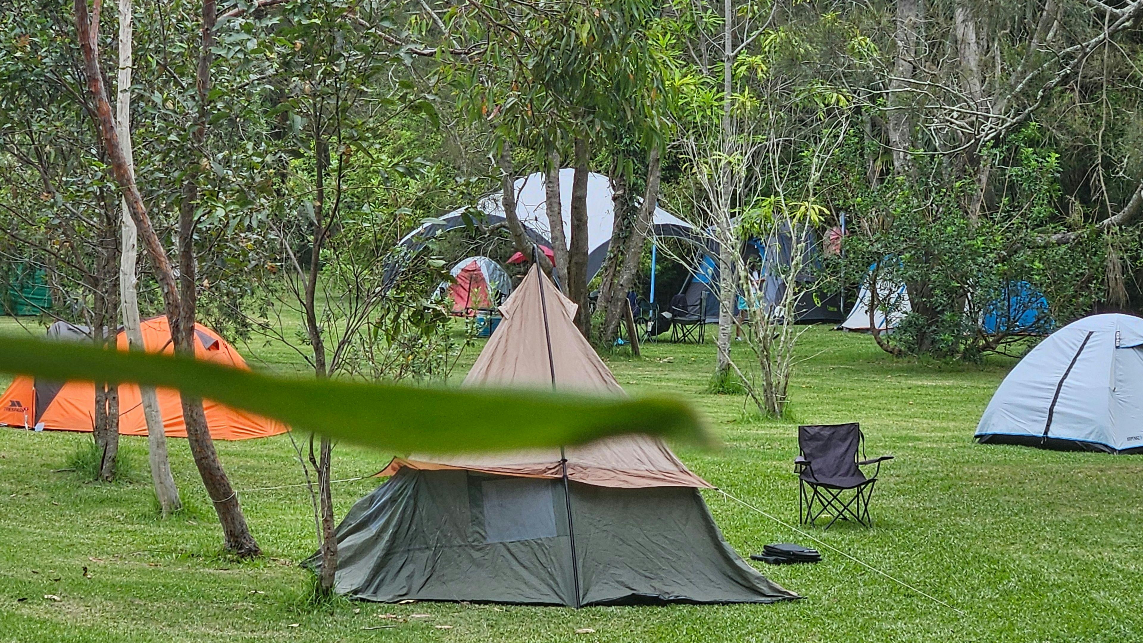 Melaleuca at One Mile